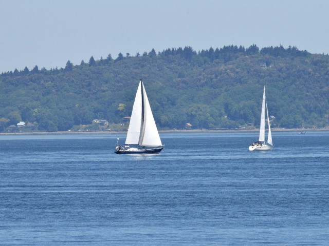 Two sailboats glide on a calm body of water, with a tree-lined hill in the background under a clear blue sky.