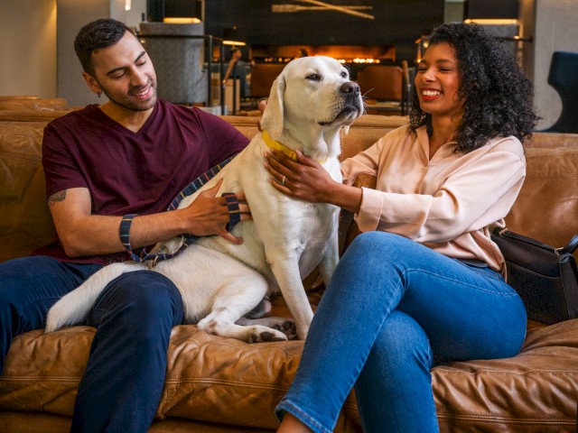 A couple sitting on a couch with a white dog between them, all looking relaxed and happy in a modern living room setting.