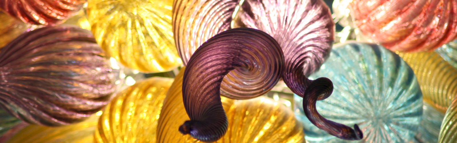 This image features a variety of colorful, textured glass shapes, resembling seashells, illuminated from behind.