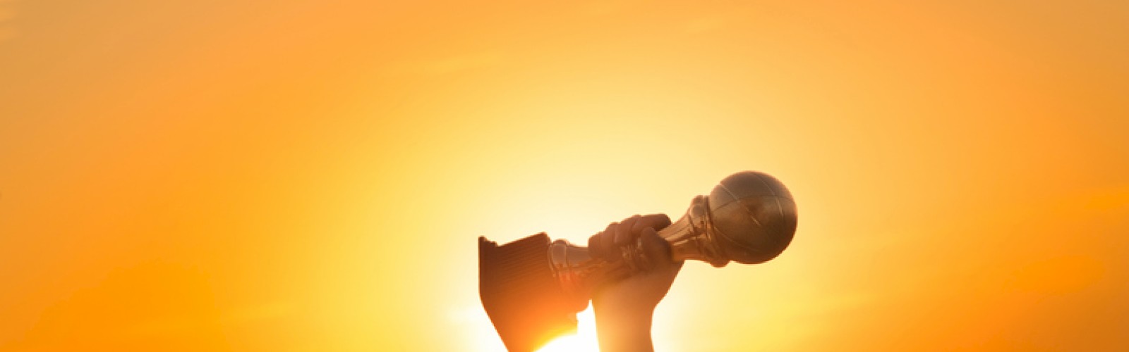 A person holding a trophy aloft against a vibrant sunset sky, symbolizing victory and achievement.